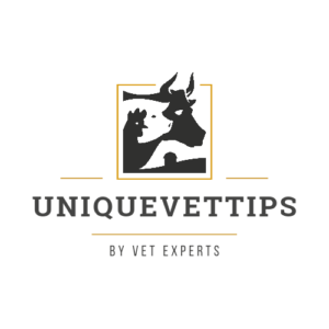 Uniquevettips_20241129_183112_0000